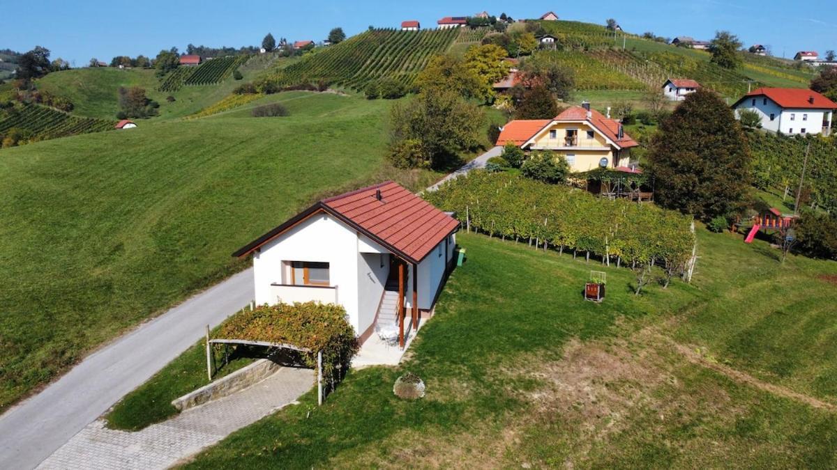 Holiday House Zlacka Gorca Pristava pri Mestinju Eksteriør bilde